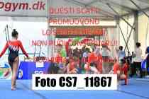 CS7_11867-