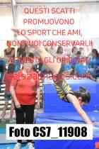 CS7_11908-