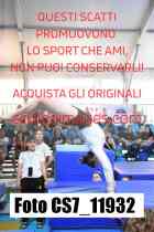 CS7_11932-