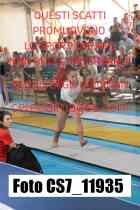 CS7_11935-