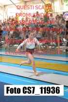 CS7_11936-