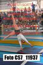 CS7_11937-