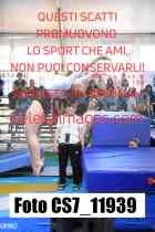 CS7_11939-
