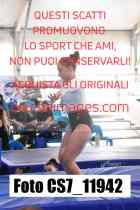 CS7_11942-