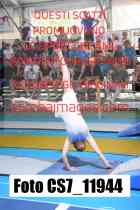 CS7_11944-