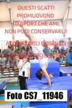 CS7_11946-