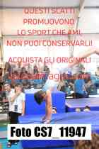 CS7_11947-