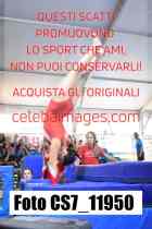 CS7_11950-