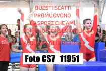 CS7_11951-