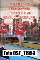 CS7_11953-