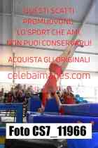 CS7_11966-