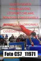 CS7_11971-