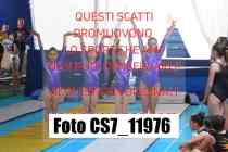 CS7_11976-
