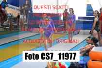 CS7_11977-