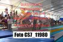 CS7_11980-