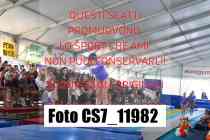 CS7_11982-