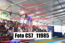 CS7_11985-