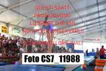 CS7_11988-