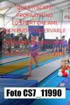 CS7_11990-