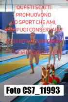 CS7_11993-