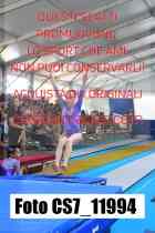 CS7_11994-