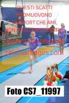 CS7_11997-
