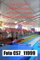 CS7_11999-