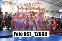CS7_12033-