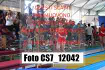 CS7_12042-