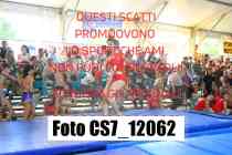 CS7_12062-