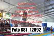 CS7_12092-