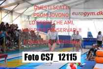 CS7_12115-