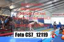 CS7_12119-