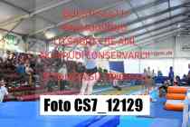CS7_12129-