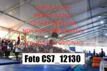CS7_12130-