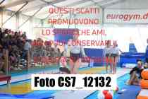 CS7_12132-