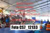 CS7_12133-