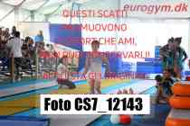 CS7_12143-