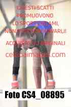 CS4_08895-