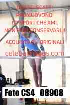CS4_08908-