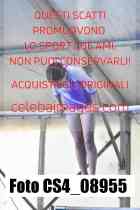 CS4_08955-