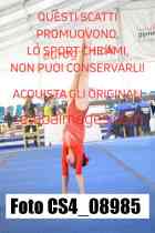 CS4_08985-