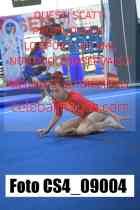 CS4_09004-
