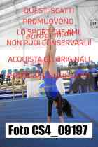 CS4_09197-