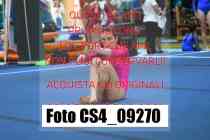 CS4_09270-