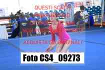 CS4_09273-