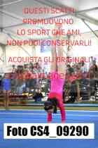 CS4_09290-