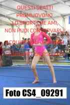 CS4_09291-