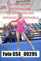 CS4_09295-