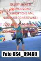 CS4_09460-